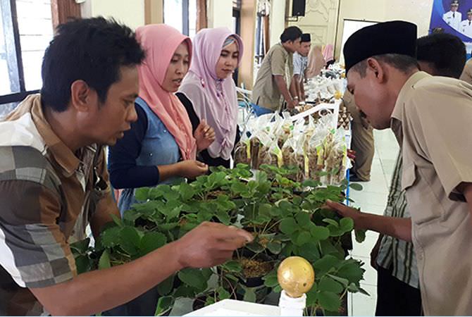 Semangat Kenalkan Produk Unggulan Desa