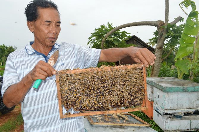 Orang Ini Punya Omzet Tiap Bulan Bisa Sampai Rp 120 Juta