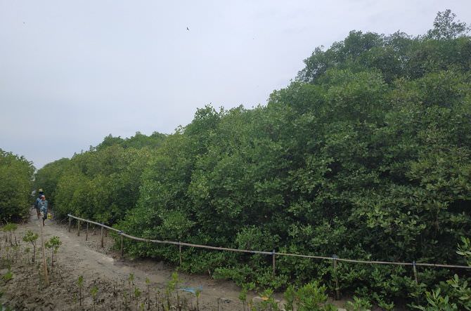 Eduwisata Mangrove Tunggu Dokumen Lingkungan