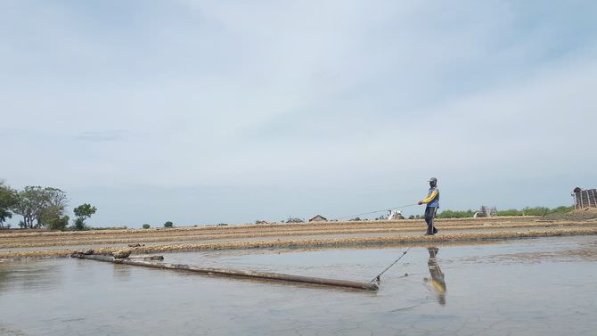 Integrasi Lahan Garam Minim Peminat