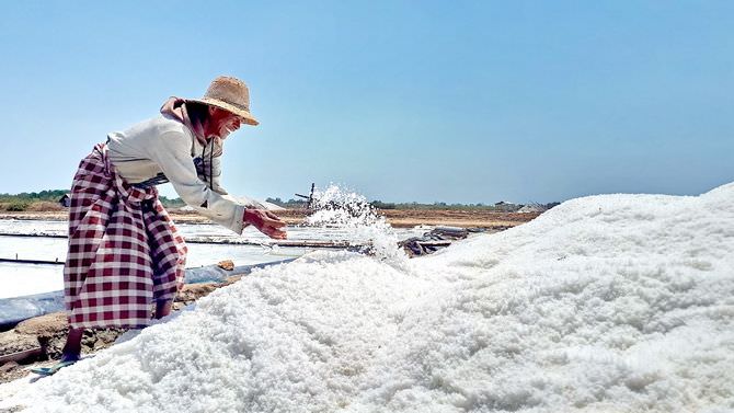 Harga Anjlok, Petambak Pilih Simpan Garam