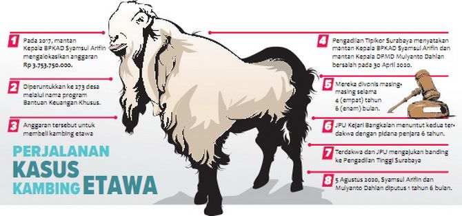 Kambing Etawa Tak ”Gigit” Eks Bupati