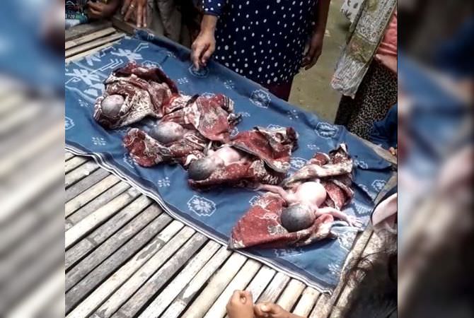 sisi-lain-kelahiran-4-bayi-kembar-gegerkan-kecamatan-kwanyar