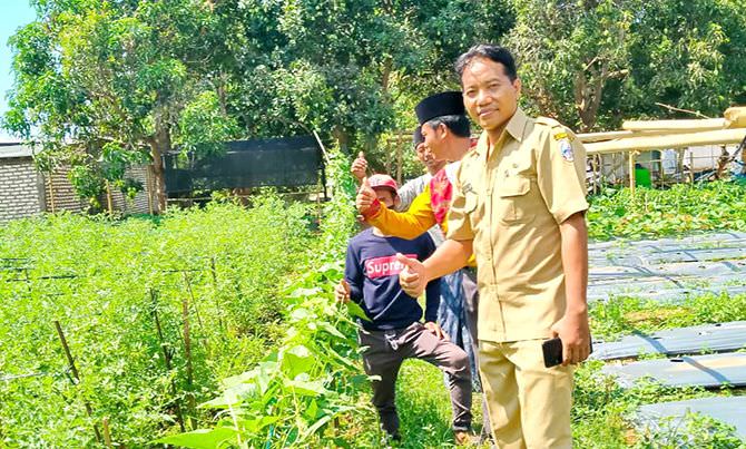 pemdes-bira-timur-fokus-agrowisata-edukasi-pertanian