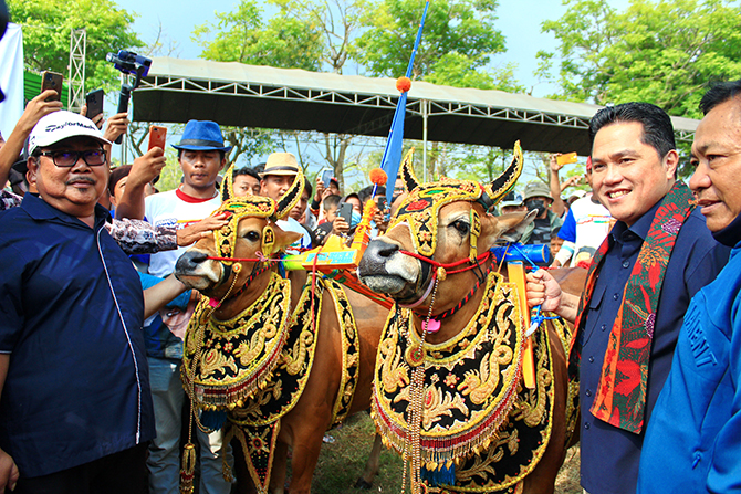 NONTON LANGSUNG: Menteri BUMN Erick Thohir didampingi Ketua Umum Pakar Sakera H. Moh Tohir berpose dengan sapi kerap yang dihias di Lapangan Karapan Sapi Desa Sanggra Agung, Kecamatan Socah, Bangkalan. (VIVIN AGUSTIN HARTONO/RadarMadura.id)