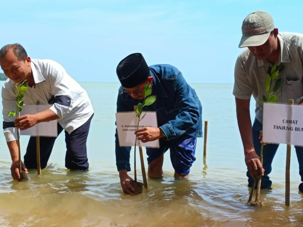 PEDULI LINGKUNGAN: Ketua DPD Nasdem Bangkalan H Mohammad Nasih Aschal (tengah) menanam Mangrove di Desa Bumi Anyar, Kecamatan Tanjungbumi Minggu (28/8).