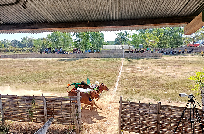 INOVATIF: Tampak closed circuit television yang difungsikan merekam sapi karapan ketika sampai di garis finis di Lapangan Murtajih, Pademawu, Pamekasan. (MOH. JUNAIDI/RadarMadura.id)