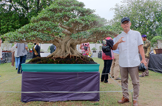 PUNYA NILAI TAWAR: Bonsai beringin kimeng di Festival Rubi Pamekasan kemarin. (MOH. IQBAL AFGANI/Radarmadura.id)