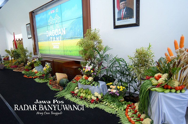 SEGMEN KHUSUS: Sayur dan ubi ditata sedemikian rapi di depan panggung acara Jagoan Tani yang digelar Pemkab Banyuwangi.