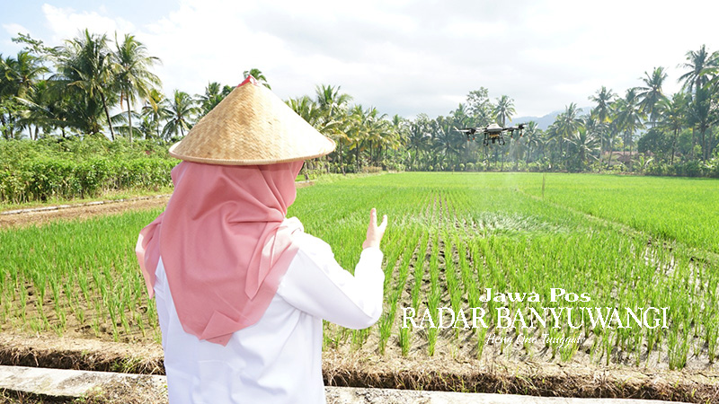 MEMUDAHKAN PETANI: Bupati Ipuk menyaksikan langsung pengoperasian drone untuk proses penyemprotan pupuk cair di Desa Kandangan, Kecamatan Pesanggaran, beberapa hari lalu (14/6).