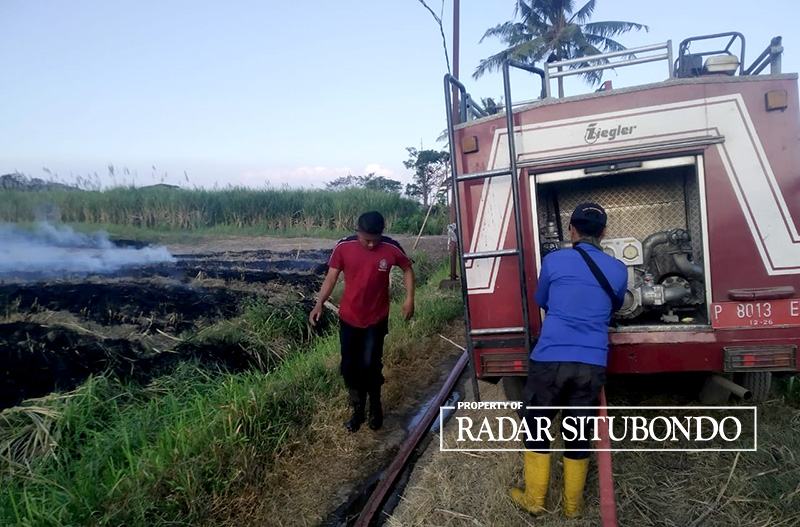 TERBAKAR: Petugas Damkar Situbondo memadamkan api di lahan tebu yang ada di Desa Wringinanom, Kecamatan Asembagus, belum lama ini.