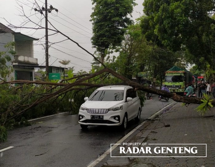 APES: Mobil Suzuki Ertiga tertimpa pohon saat melintas di Jalan Sultan Hasanuddin, Dusun Krajan, Desa Genteng Wetan, Kecamatan Genteng pada Sabtu (1/7).