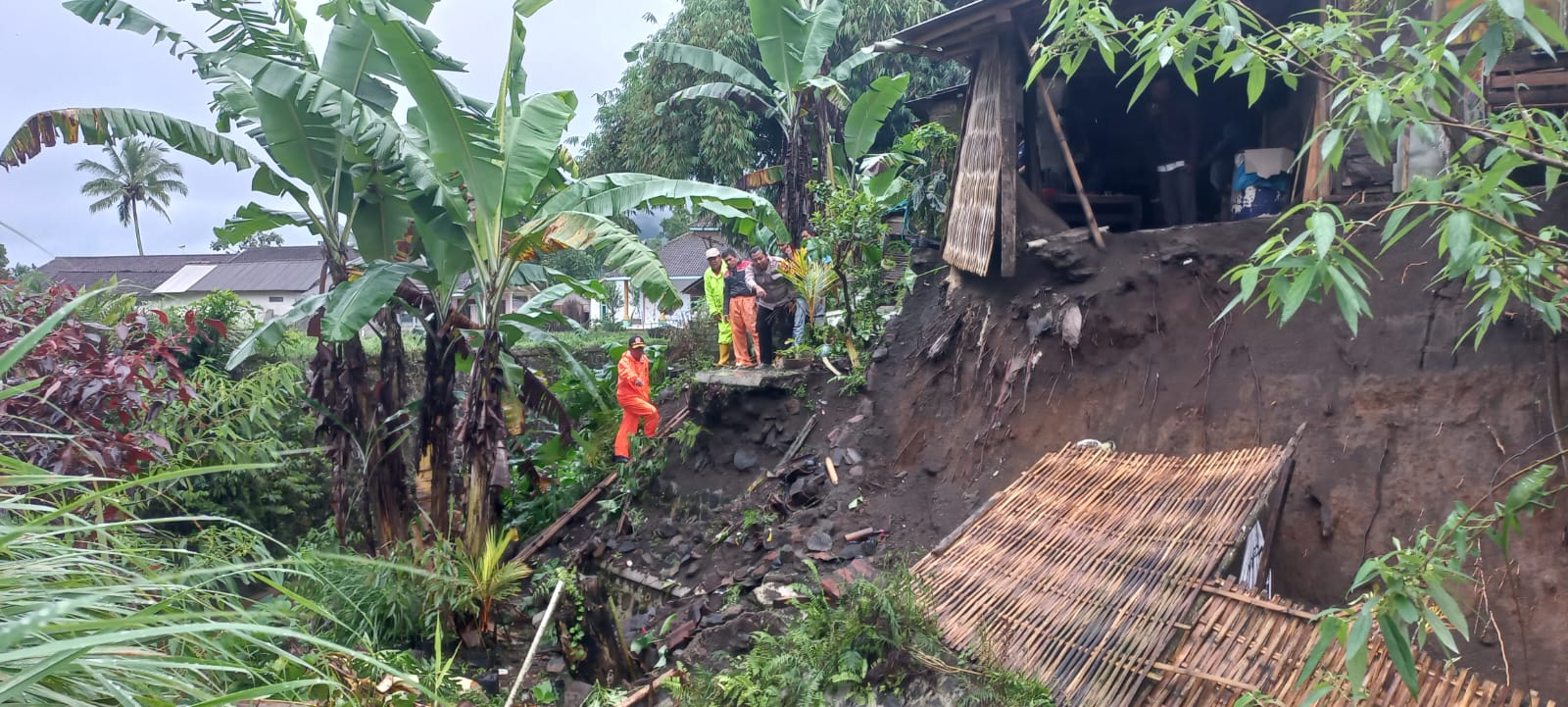 CEK: Anggota BPBD, anggota Polsek Kalibaru, dan petugas dari Kecamatan Kalibaru meninjau rumah Niman yang ambrol di bagian dapur akibat tanah tergerus air hujan, Jumat (7/7).