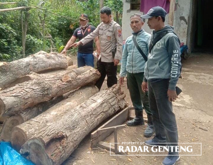 ANGKUT: Petugas gabungan saat menemukan tumpukan kayu jati yang diduga illegal di Dusun Silirbaru, Desa Sumberagung, Kecamatan Pesanggaran, Minggu (16/7).