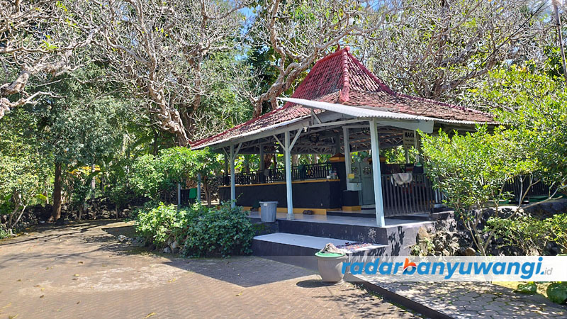 SAKRAL: Makam Buyut Sayu Atika dinaungi sembilan pohon kamboja yang mengelilingi makam. Lokasinya berada di perbukitan Giri, Banyuwangi.