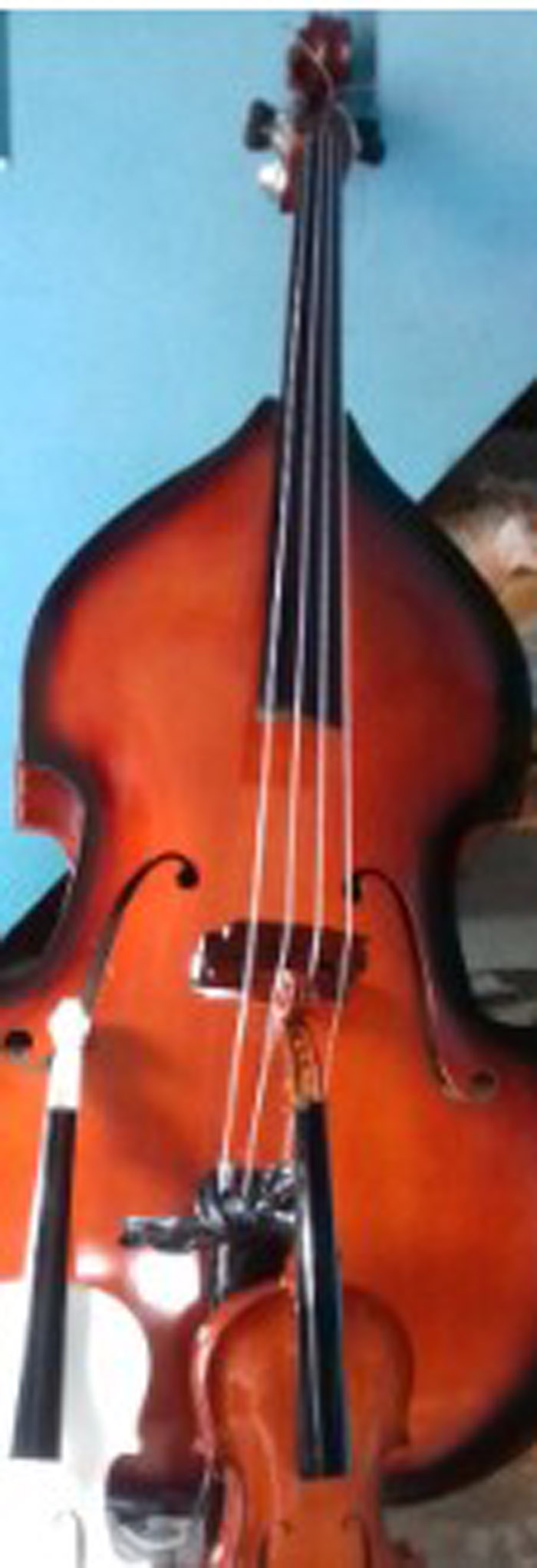 KHUSUS NADA RENDAH: Bentuk alat musik bass betot atau bass dobel.