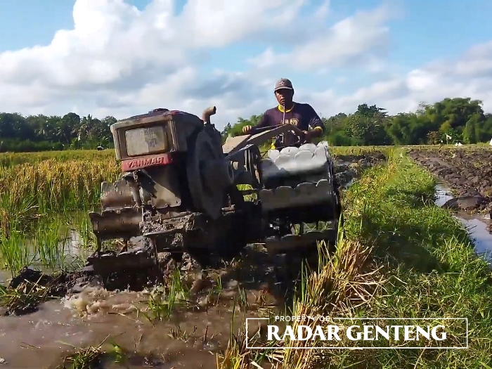 BAJAK SAWAH: Jasa bajak sawah dengan traktor milik Sumadi di Dusun Krajan, Desa Kebaman, Kecamatan Srono ini mulai ramai permintaan dari petani, Kamis (10/8).
