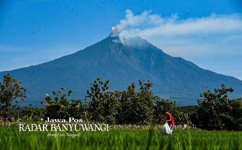 SUDAH PADAM: Asap membumbung dari puncak Gunung Merapi Ungup-Ungup. Lokasinya sekitar 40 kilometer dari Kawah Ijen.