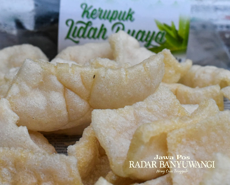 BERKHASIAT: Meski tampilannya biasa, kerupuk ini terbuat dari tanaman lidah buaya.