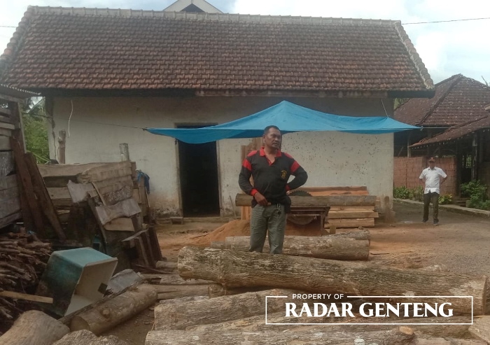 BB: Tumpukan kayu jati yang masih gelondongan ditemukan di samping rumah Sugiyanto di Dusun Silirbaru, Desa Sumberagung, Kecamatan Pesanggaran pada Minggu (26/3).