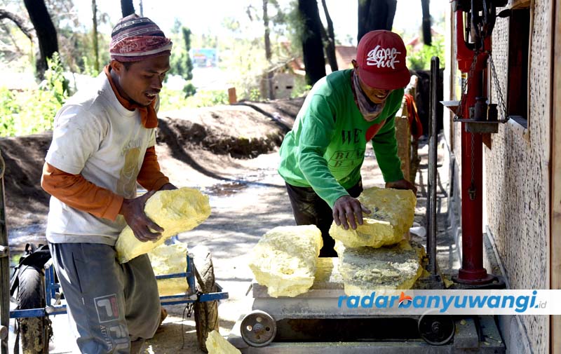 DITIMBANG: Semakin hari pekerja angkut belerang dari kawah Ijen menuju Paltuding berkurang. Harga yang diberikan PT Candi Ngrimbi kepada penambang Rp 1.250 per kilogram belerang.