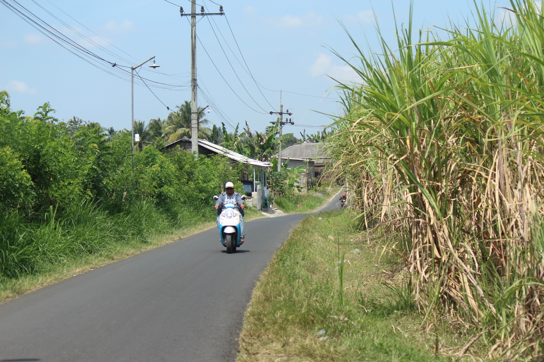 TKP: Di jalan raya tengah kebun tebu di Dusun Krajan, Desa Tegalharjo, Kecamatan Glenmore ini Rahman Hari Prasetya dibekal pada Kamis (7/9) sekitar pukul 21.00.