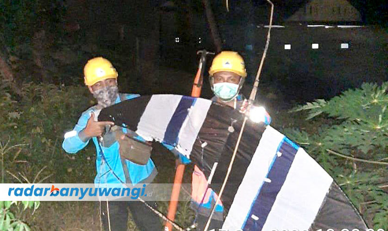 EVAKUASI: Petugas PLN membawa layangan sowangan alias gapangan yang nyangkut di kabel listrik.