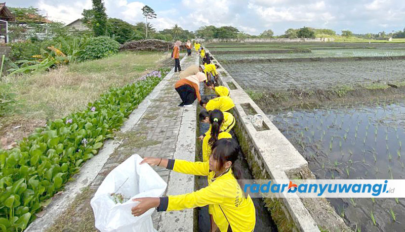 TINDAKAN NYATA: Siswa SDN 2 Lemahbangdewo membersihkan saluran tersier di persawahan dekat RTH Desa Lemahbangdewo, Kecamatan Rogojampi, Senin (25/9).