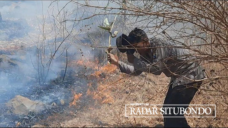 MELUAS: Anggota Polsek Banyuputih melakukan pemadaman dengan alat manual di salah satu titik kebakaran Taman Nasional Baluran, Kecamatan Banyuputih, Situbondo, Kamis (28/9).