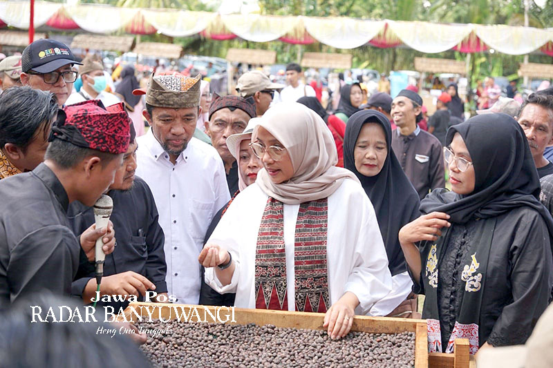 PRODUK UNGGUL: Bupati Ipuk didampingi Plt. Kepala Dispertan Ilham Juanda meninjau hasil panen kopi rakyat dalam rangkaian Pesta Rakyat Kopi Gombengsari Agustus 2023 lalu.