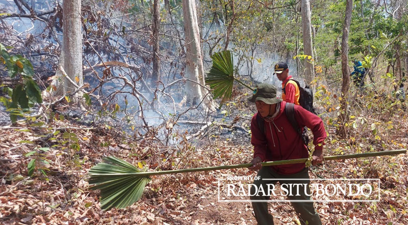 MENJINAKKAN API: Tim pemadam kebakaran Taman Nasional Baluran Situbondo memadamkan apai dengan alat seadanya, Minggu lalu (1/10).