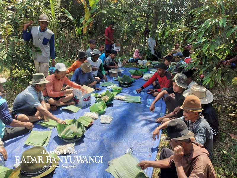 SELAMATAN: Warga Desa Kemiren menggelar ritual Dawuhan dengan harapan sawah yang mereka garap tidak kekurangan air, Rabu (4/10).