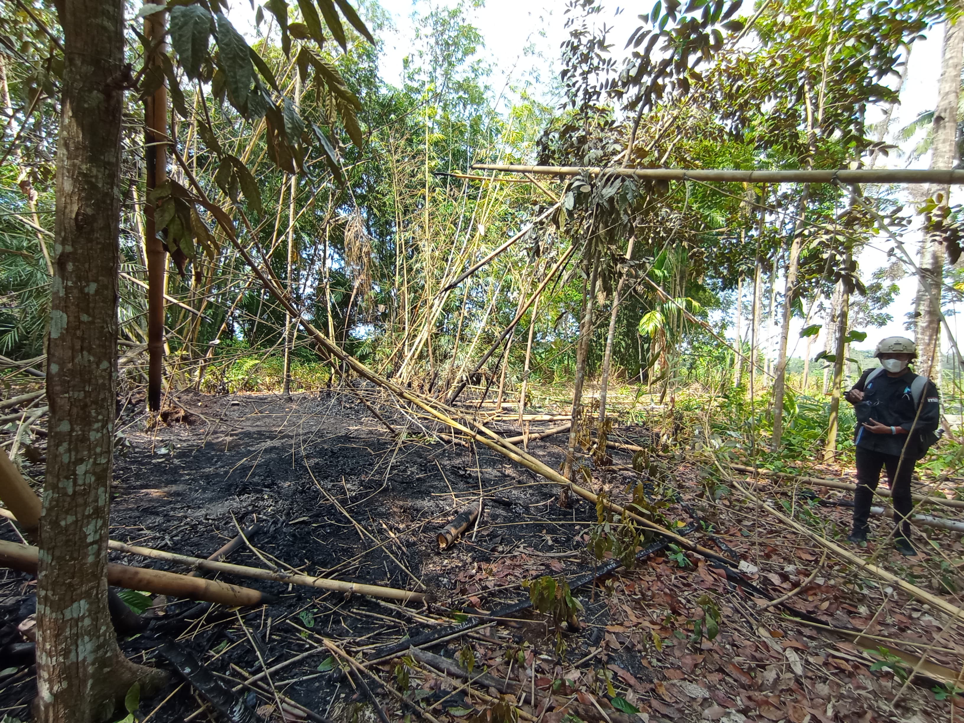 HANGUS: Bambu kering di pekarangan milik M Yasir di Dusun Kopen, Desa Kradenan, Kecamatan Purwoharjo yang terbakar pada Kamis (5/10) malam.