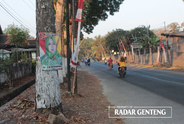 SALAHI ATURAN: APS milik salah satu Bacaleg dipaku di pohon pengayom di jalan raya Dusun Nganjukan, Desa Karangsari, Kecamatan Sempu, Rabu (11/10).