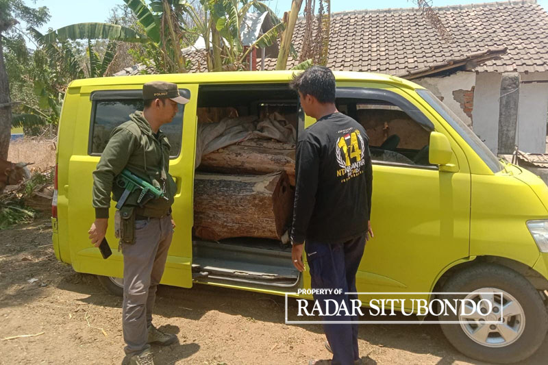 HASIL TANGKAPAN: Petugas Perlidungan Hutan dan Pelesatarian Alam (PHPA) taman Nasional Baluran menghitung kayu dugaan pencurian di pekarangan rumah Agus, warga Krajan, Desa Sumberejo, Banyuputih.