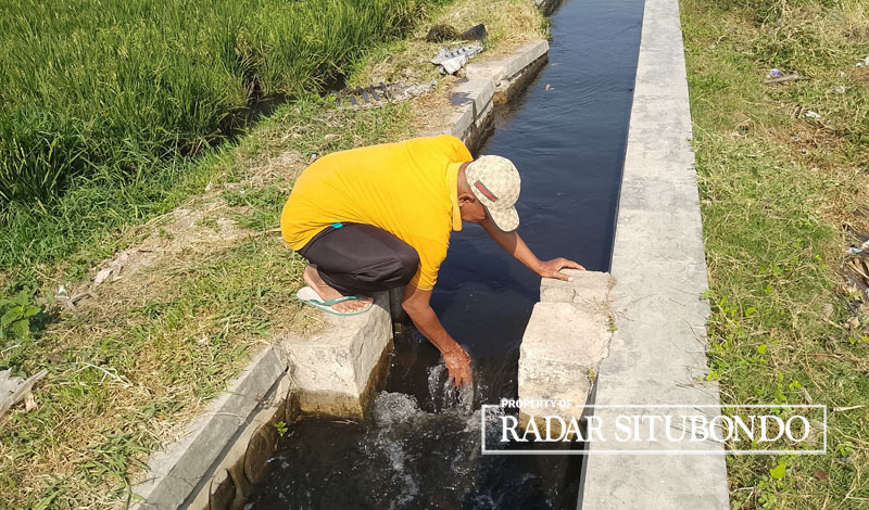 MUSIM KEMARAU: Salah seorang petani membersihkan sampah yang menyangkut di saluran irigasi air, di Desa Wringin Anom, Kecamatan Panarukan, Situbondo, Rabu (11/10).