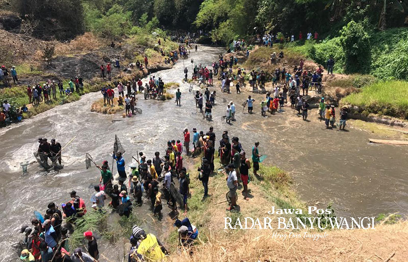 PENGERINGAN SUNGAI: Warga yang tinggal di sekitar Dam Singir, Dusun Mangunrejo, Desa Blambangan, Kecamatan Muncar, Banyuwangi, ramai-ramai menangkap ikan, Senin (16/10)