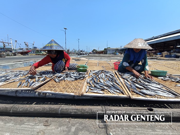 TURUN: Perajin menjemur ikan asin yang baru diproses di Pelabuhan Muncar, Desa Kedungrejo, Kecamatan Muncar kemarin (19/10).