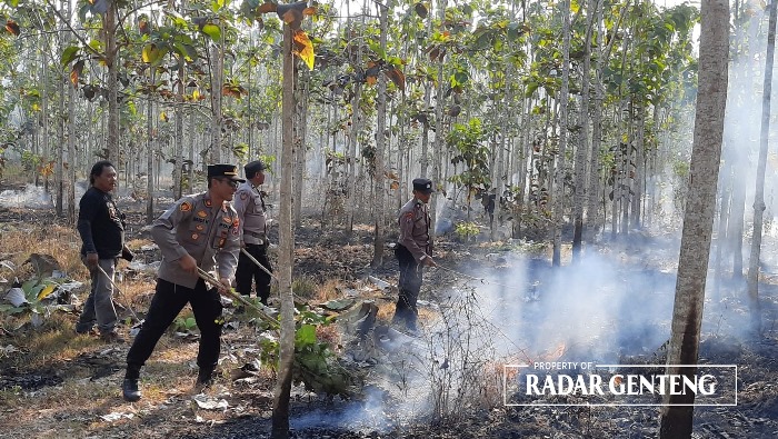 TERBAKAR LAGI: Kapolsek Purwoharjo AKP Budi Hermawan bersama anggotanya memadamkan api di hutan produksi Karetan wilayah Perhutani KPH Banyuwangi Selatan Kamis (19/10).