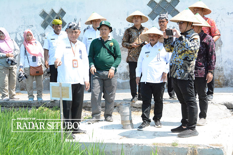 INOVATIF: Bupati Situbondo Drs. Karna memaparkan bibit padi BK Situbondo 01 dan 02 agritan kepada petani dan tim penilai IGA di wilayah Desa Wringinanom, Situbondo