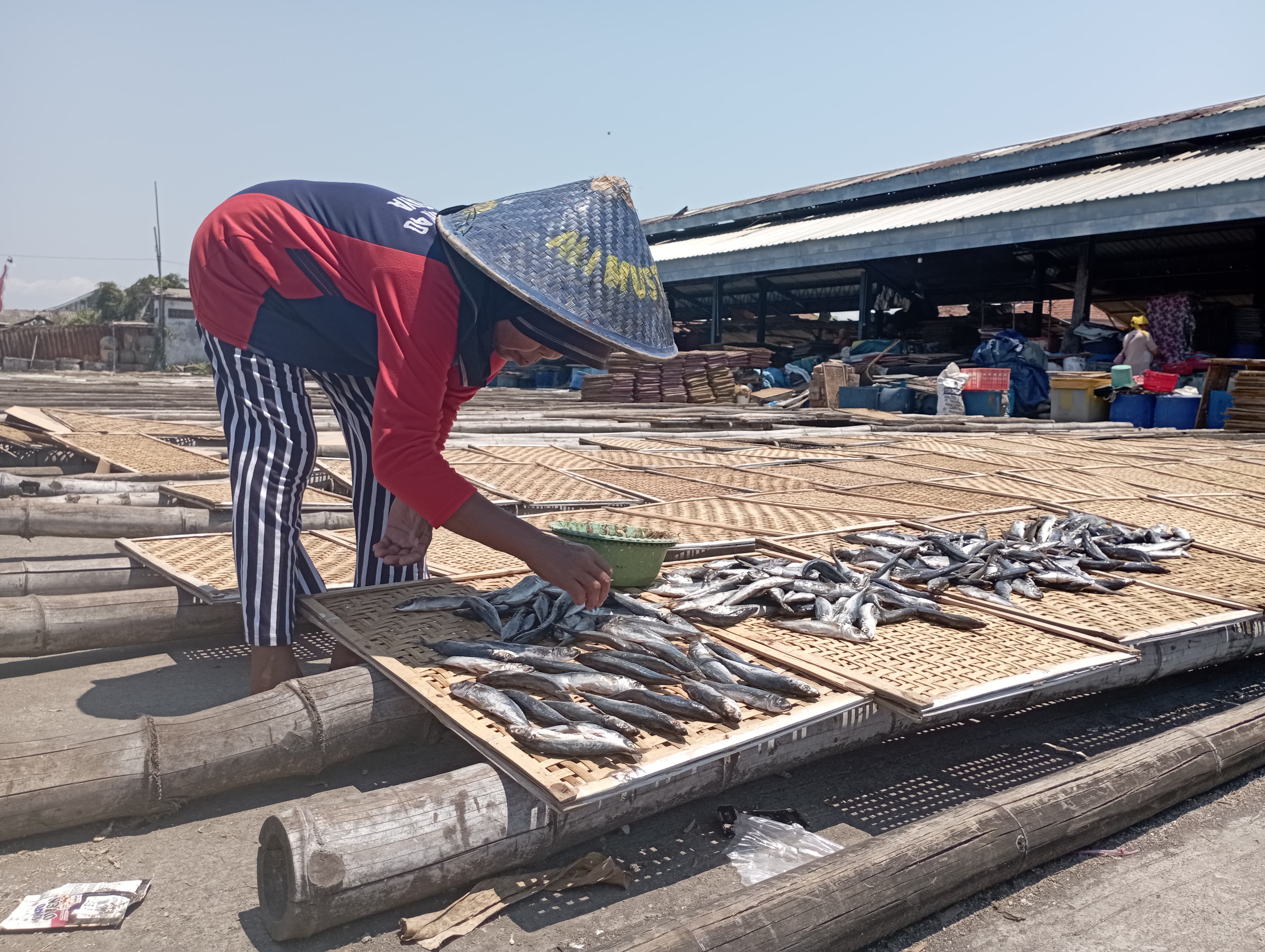 ANTISIPASI: Perajin ikan asin di Dusun Kalimati, Desa Kedungrejo, Kecamatan Muncar masih memproduksi ikan di tengah siang yang terik pada Jumat (3/11).