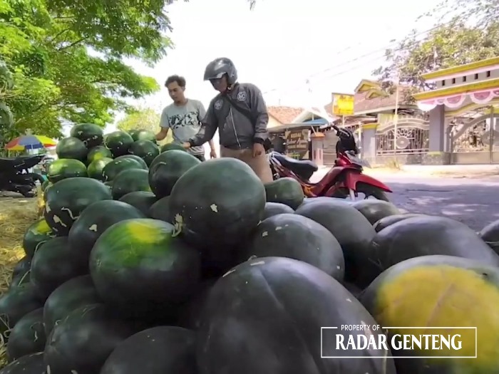 LARIS: Ratusan kilogram semangka dijual pedagang di tepi jalan raya Desa Wonosobo, Kecamatan Srono Selasa (7/11).