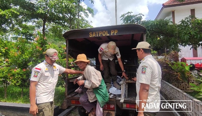 APES: Saniman asal asal Desa Tegalwaru, Kecamatan Mayang, Kabupaten Jember diamankan anggota Satpol PP Genteng Kamis (23/11).