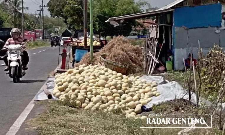 MELIMPAH: Tumpukan melon yang baru dipanen di pinggir jalan raya Dusun Palurejo, Desa Tembokrejo, Kecamatan Muncar Kamis (23/11).