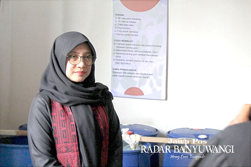 Ipuk Fiestiandani, Bupati Banyuwangi