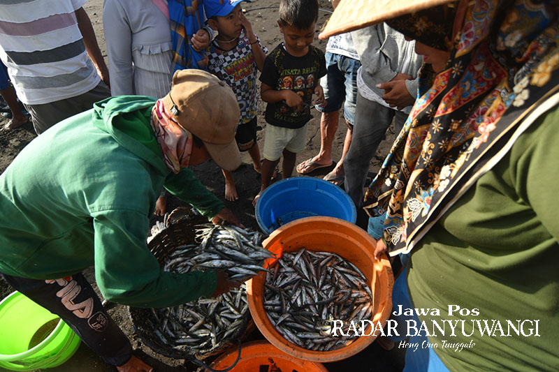 MELIMPAH: Nelayan menurunkan hasil tangkapan ikan lemuru di dalam bak plastik di Pantai Pulau Santen, Kecamatan/Kabupaten Banyuwangi.