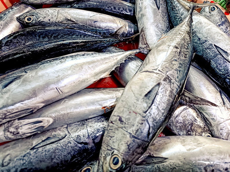 MEDIUM: Ikan tongkol dijajakan di lapak pedagang Pasar Blambangan, Banyuwangi.