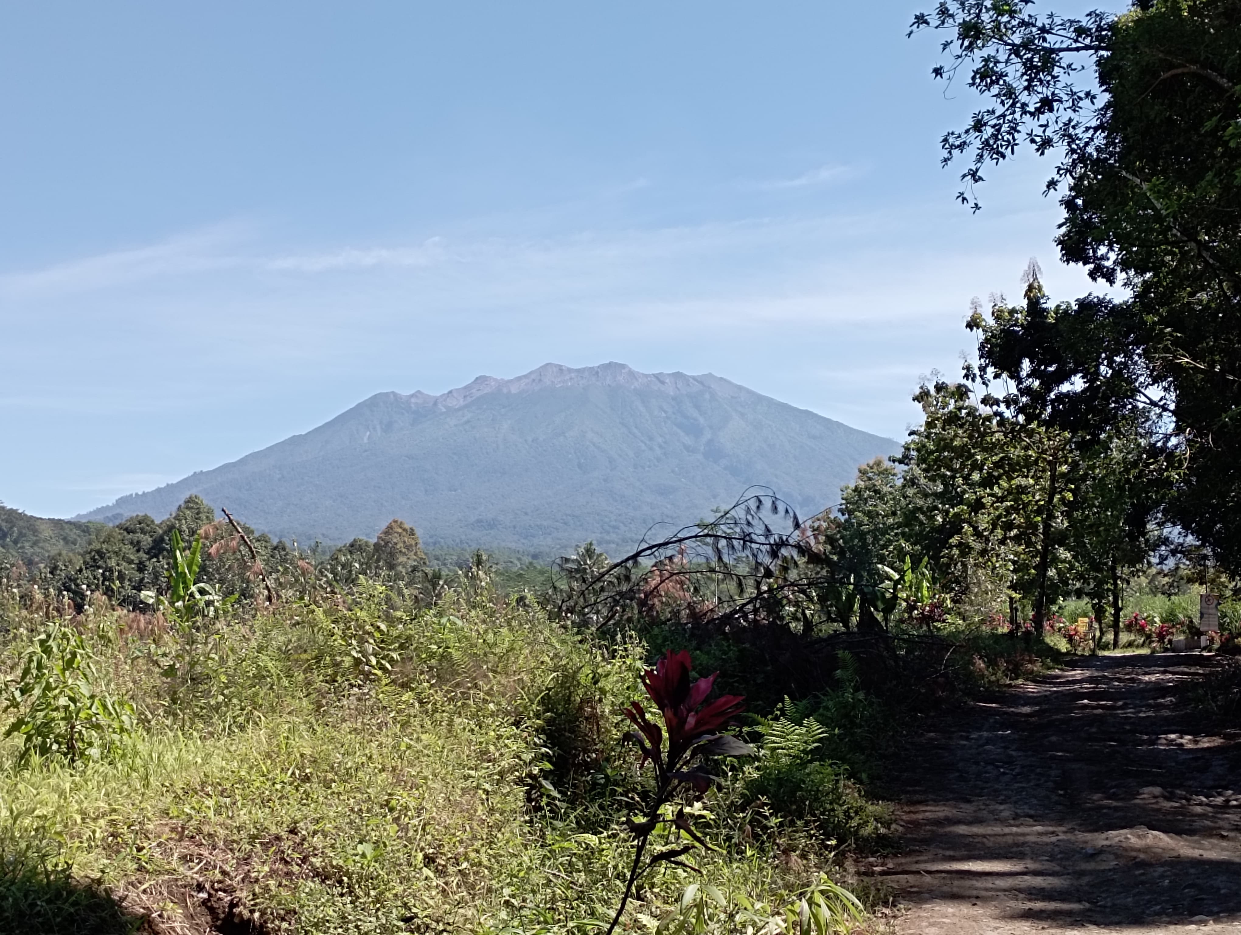 NORMAL: Gunung Raung yang semburkan asap setinggi 100 meter dilihat dari Perkebunan Bayu Kidul, Dusun Lider, Desa Sumberarum, Kecamatan Songgon, Minggu (10/12).