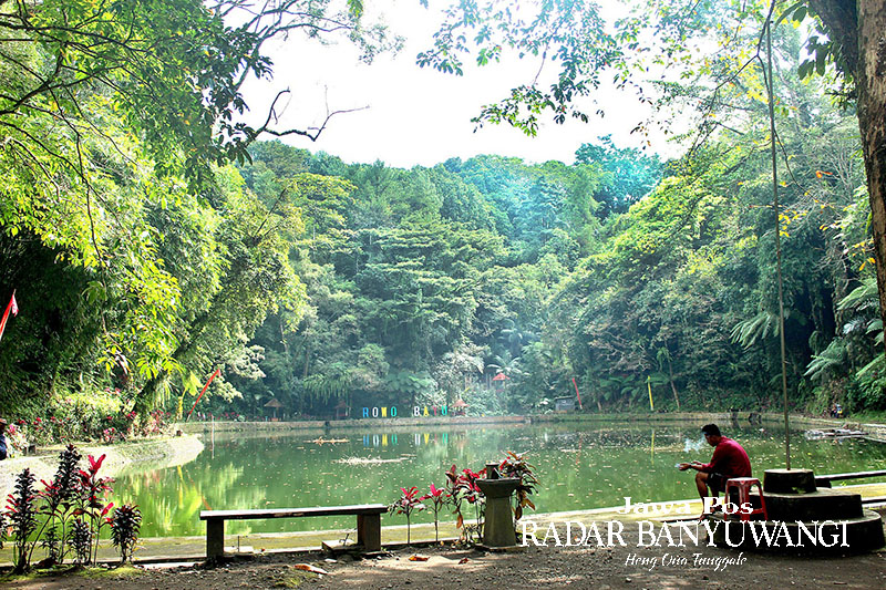 BERSEJARAH: Suasana tenang Rowo Bayu di wilayah Desa Bayu, Kecamatan Songgon, Banyuwangi. Kawasan sekitar telaga ini pernah menjadi lokasi perang rakyat Bumi Blambangan melawan penjajah VOC Belanda.