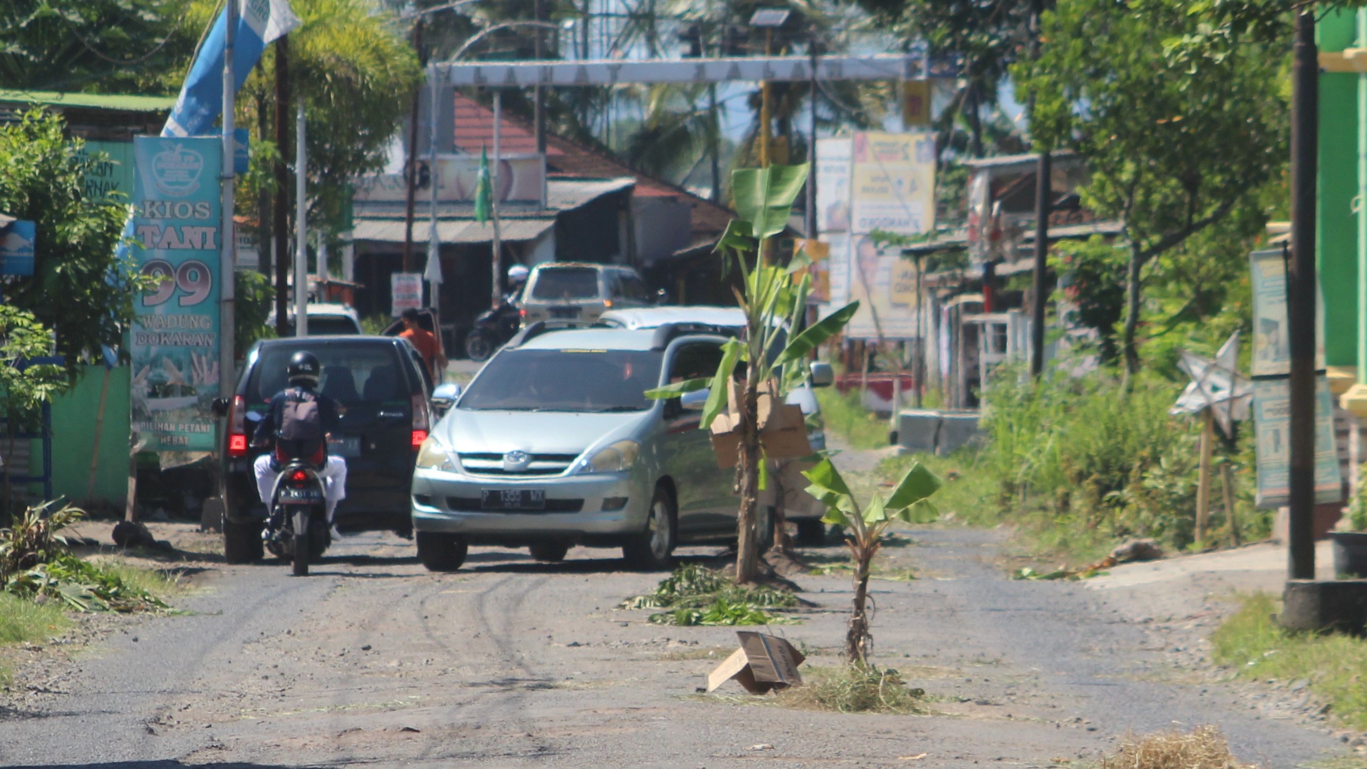 JENGKEL: Puluhan pohon pisang oleh warga ditanam di jalan raya yang rusak sepanjang dua kilometer di Dusun Tegalrejo, Desa Tulungrejo, Kecamatan Glenmore, Jumat (22/12).